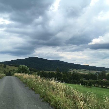 Pokoje U Bozeny I Zbyszka Lipie  Экстерьер фото